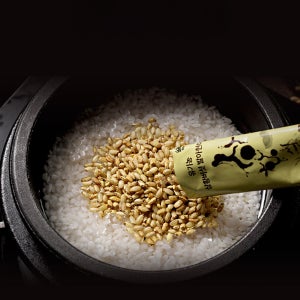 하이칸 유기농 상황버섯 발아현미 베타글루칸 현미 쌀 개별포장 소포장 20g, 40개