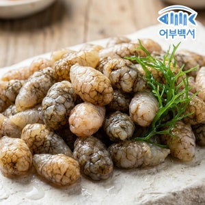 국내산 손질 오만둥이 미더덕 오만디 4kg 업소용