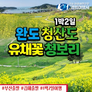 부산출발 완도 청산도 유채꽃 청보리 1박2일 리무진투어 경희여행사