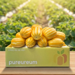 성주 참외 제철 꿀참외 고당도 프리미엄 중과 1.7kg 이상