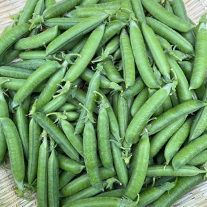 햇 완두콩 껍질콩 산지직송 제철완두콩 4kg, 1개