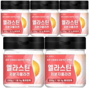 엘라스틴 저분자 피쉬콜라겐 분말 250g, 5개