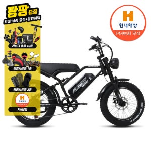 [PM보험] 모토벨로 FN10 자토바이 48V 10Ah 삼성셀 풀서스펜션 배달 전기자전거