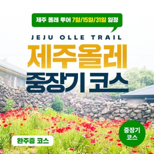 [예약금] 제주 올레길 투어 7일, 15일, 31일 중장기 코스 체험 교통편, 숙식, 인솔자 포함