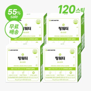 링워터 이온 음료 분말 패밀리팩 청사과맛4박스, 384g, 1개