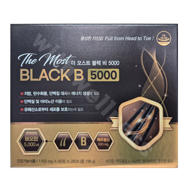 더 모스트 블랙 비 5000