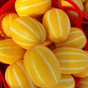 경북 성주 꿀 참외 12Brix, 5kg, 1개