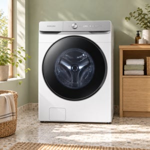 1등급 삼성 AI 세탁기 21kg WF21DG6650BW 화이트