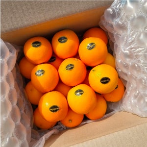 초특가/ 고당도 프리미엄 블랙라벨 오렌지