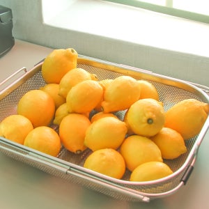 제주 서귀포 동래농원 유기농 레몬 5kg, 1개