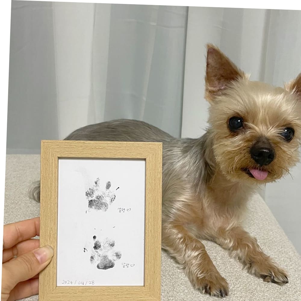 비숑마켓 강아지 발도장 액자