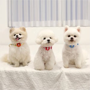 이츠독 디즈니 컴포트 LED 강아지 목줄