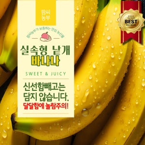 한정판 실속형 최상품 고당도 바나나 13kg