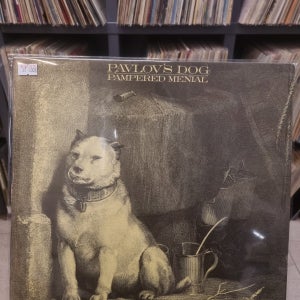 [중고] 파블로브스 독 LP / pavlov’s dog - pampered mental LP