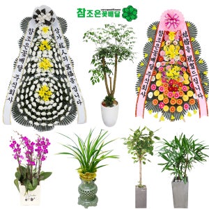 울산중구화환 중구개업화분 근조화환