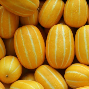 성주 꿀참외 선물용 가정용 못난이 2kg 3kg 5kg 산지직송