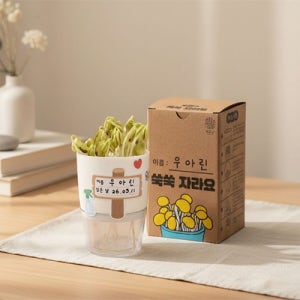 콩나물키우기 수경재배키트 콩나물시루 새싹재배기아이베이비아트