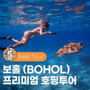 보홀 호핑투어 발리카삭 버진아일랜드 한국인가이드 거북이 스노쿨링 돌고래 언니네산지직송 YZ