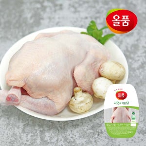 올품 무항생제 육계9호개체 1수 트레이