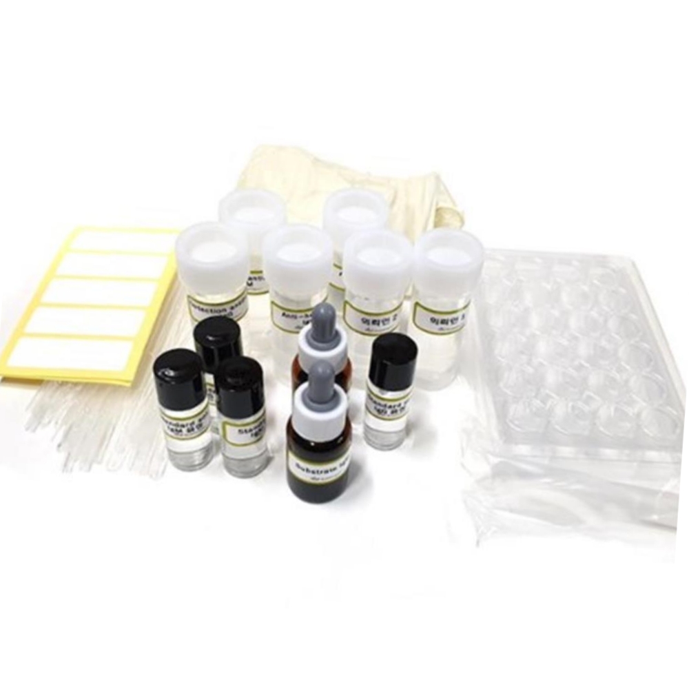 <b>코로나</b> 바이러스 모의 실험 과학 키트 5인 사이언스 방과후수업