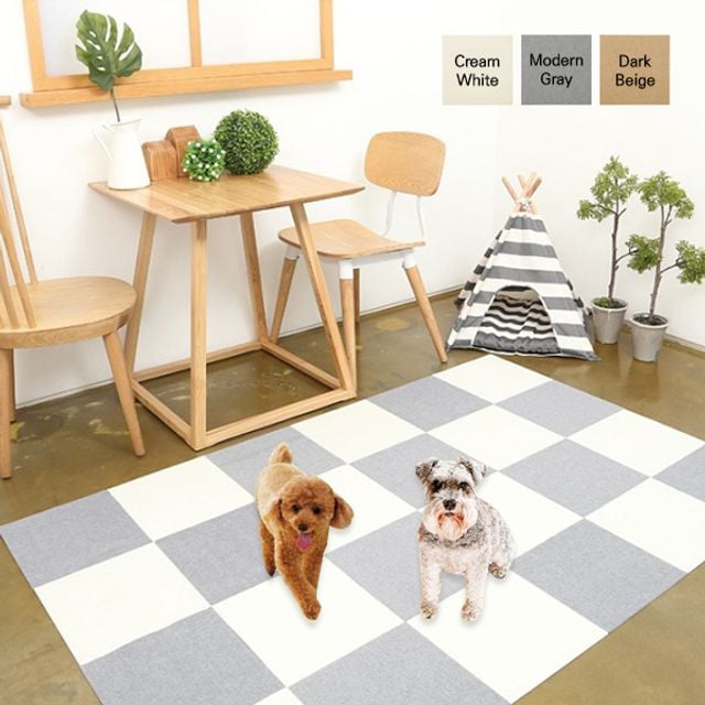 펫플래닛 애견카페 (Pet Planet Dog Cafe)