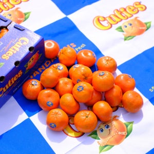 [도매시장출고] 큐티 만다린 귤 4.5kg, 1개