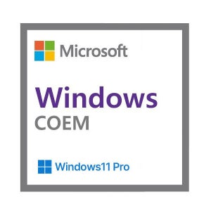 Microsoft Windows 11 Pro COEM 처음사용자용 DVD설치형