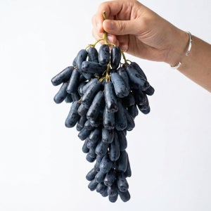 블랙사파이어 가지포도 씨없는 수입포도 8.2kg, 1개