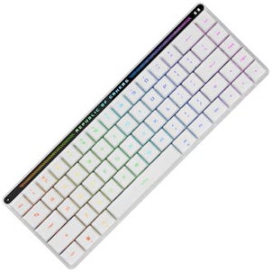 ASUS ROG FALCHION RX Low Profile 유무선 기계식 영문 (적축)