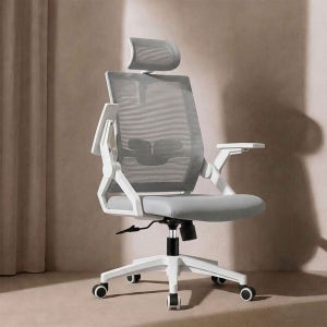 올인홈 브레인체어 사무용의자 사무실 컴퓨터 메쉬 학생 공부 허리편한 책상의자