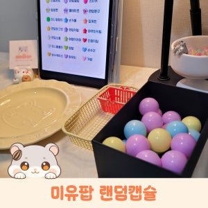 미유팝 랜덤캡슐 랜덤박스 럭키박스 (3+1)