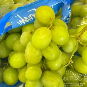 오톰크리스피 청포도 씨없는 애플 청포도 고당도 맛도리장터