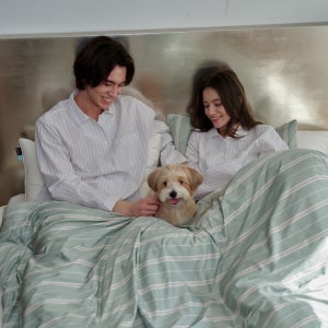 NEW 필굿 컴포트웰 플러스 사계절 차렵이불 QK (이불단품)