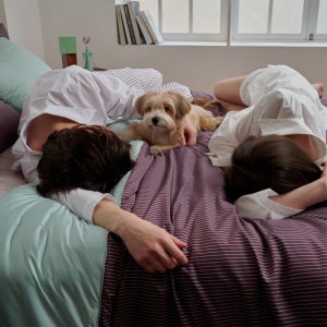 NEW 필굿 컴포트웰 플러스 사계절 차렵이불 QK (이불단품)