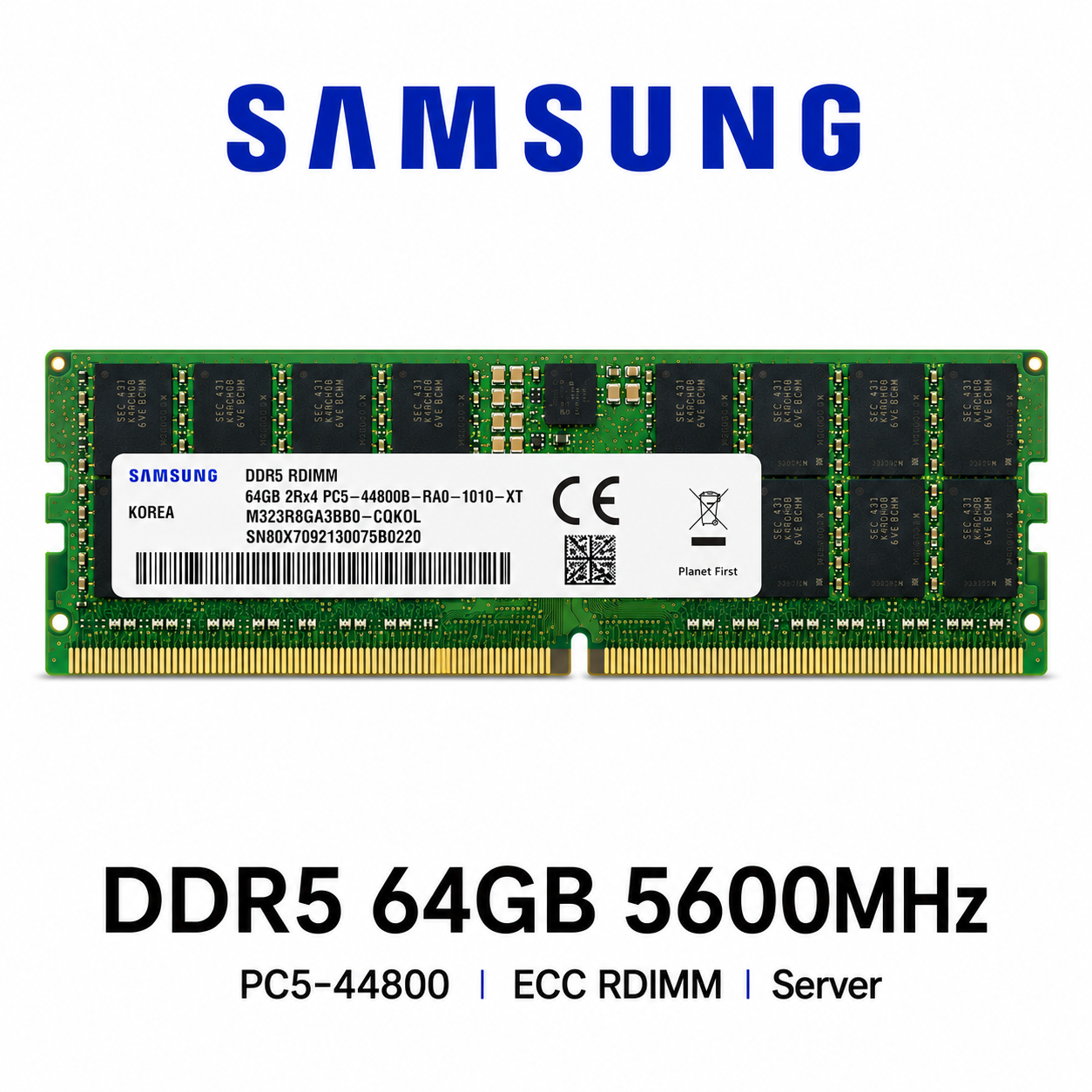삼성전자 삼성 DDR5 PC5-44800 ECC/REG 64GB, 1개