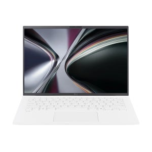 LG전자 LG그램 14ZD95U-GX5WK 16GB, 256GB