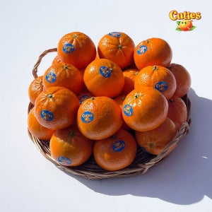만다린 큐티스 미국 귤 14Brix, 5kg, 1개