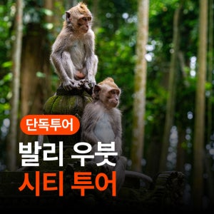 히위고 발리 우붓 시티 투어 프라이빗
