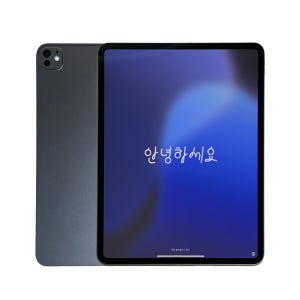 Apple 아이패드 프로 13 7세대 M4 스탠다드 글래스 스페이스 블랙 512GB, WiFi전용