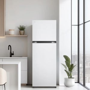 [전국설치] LG 일반냉장고 B245W22 신모델 사실 원룸 250리터급 사업자 인증점