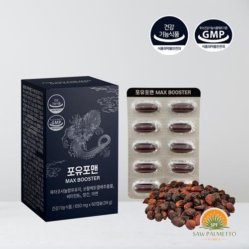 부스터 Booster