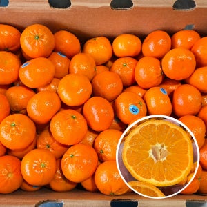 [달콤한] 미국산 만다린 귤 만다린오렌지 신선한 제철과일 10kg, 1개