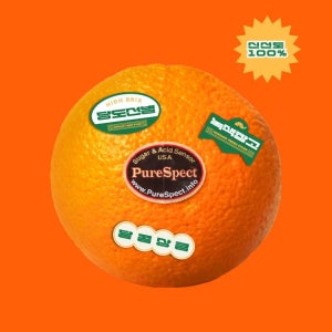 [고당도 선별] 최상급 블랙라벨 퓨어스펙 썬키스트 오렌지