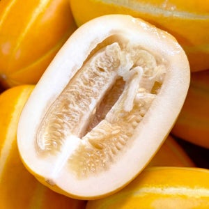 성주 꿀 참외 고당도 가정용 로얄과 못난이 2kg 3kg 5kg