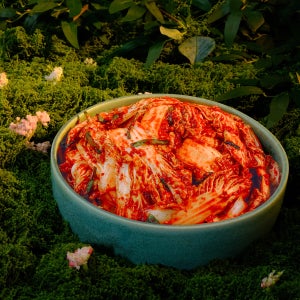 채선비 젓갈없는 순식물성 비건 채식 알배추 겉절이 김치 1kg