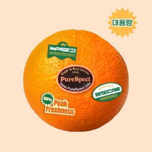 [고당도 선별] 갓성비 대용량 1박스 최상급 블랙라벨 오렌지 17KG 퓨어스펙 썬키스트