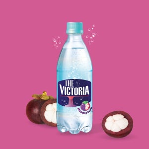 더 빅토리아 탄산음료 망고스틴 500mL 20개