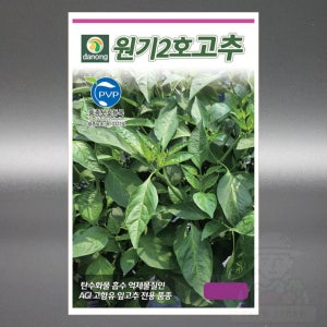 다농 원기2호고추 1천립 잎고추 탄수화물 흡수 억제물질 AGI 고함유 고추 씨앗 씨 종자