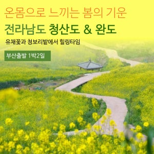 [부산출발] 청산도 완도 슬로시티 봄꽃여행 1박2일 리무진버스투어