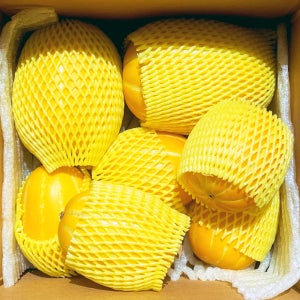 성주참외 고당도 꿀 꼬마 못난이 참외 10kg 2kg 3kg 5kg